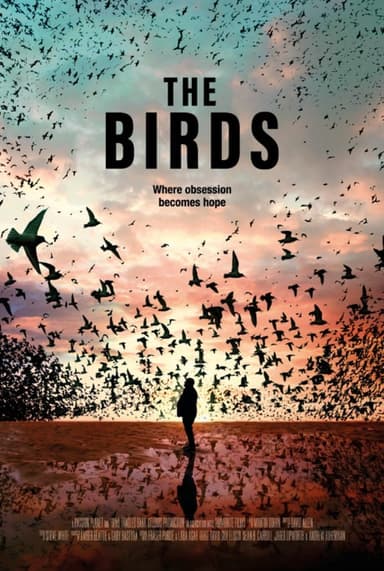 The Birds poster