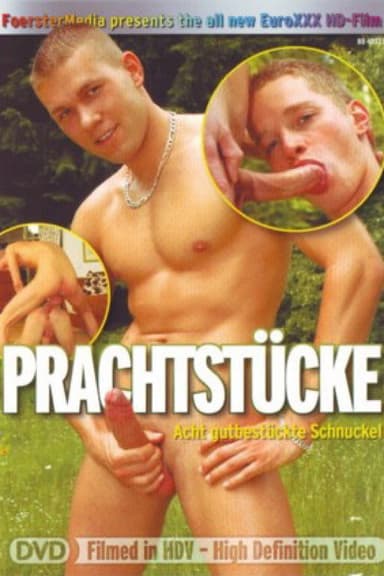 Prachtstücke poster