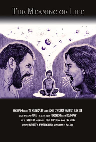 The Meaning of Life poster