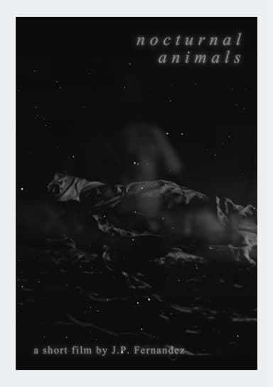 Nocturnal Animals poster