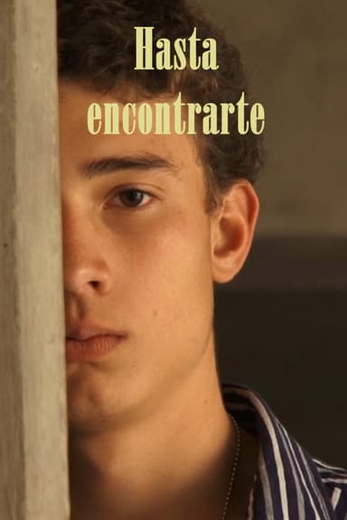 Hasta encontrarte poster