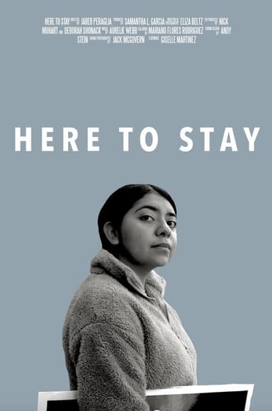 Here to Stay poster