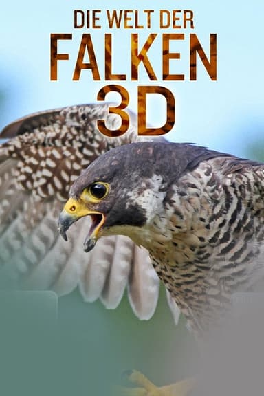 Die Welt der Falken 3D poster