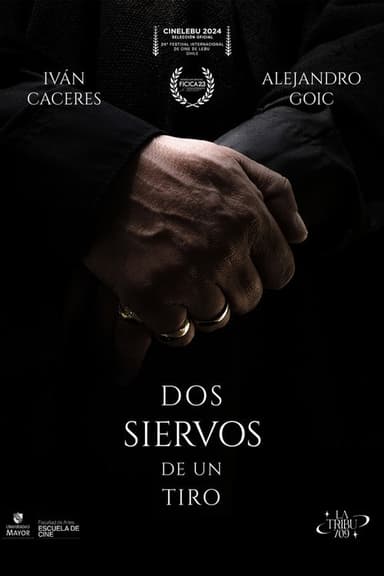 TWO SERVANTS. ONE STONE poster