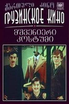 Marvellous Suit poster