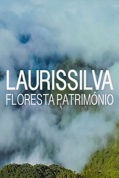Laurissilva - Floresta Património poster