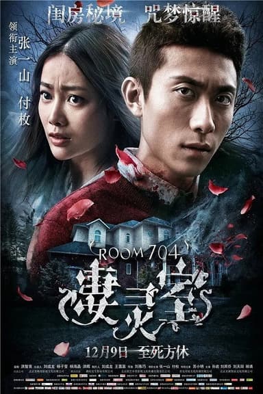 Room 704 poster