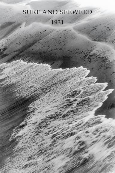 Surf and Seaweed poster
