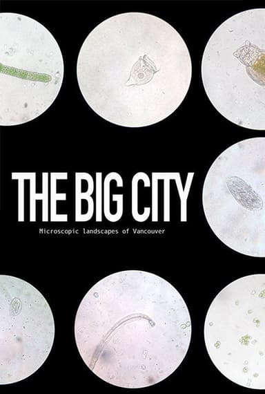 The Big City poster