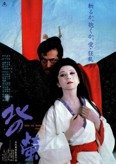 Fireflies in the North poster