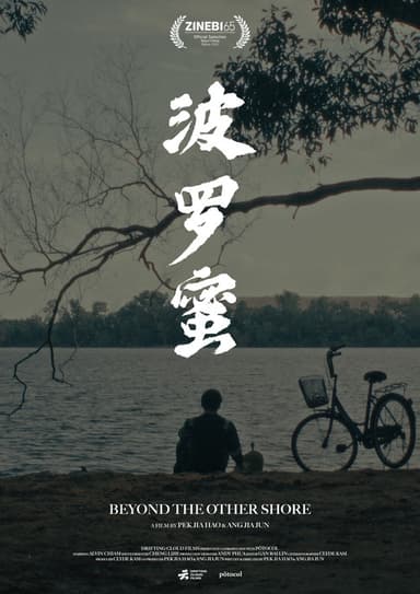 Beyond the Other Shore poster