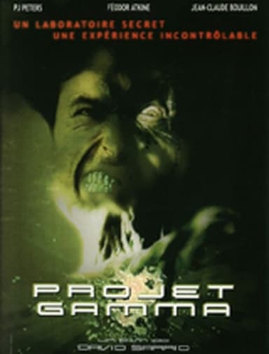 Gamma Project poster