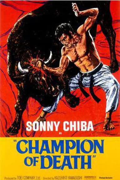Karate Bullfighter poster