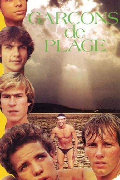 Beach Boys poster