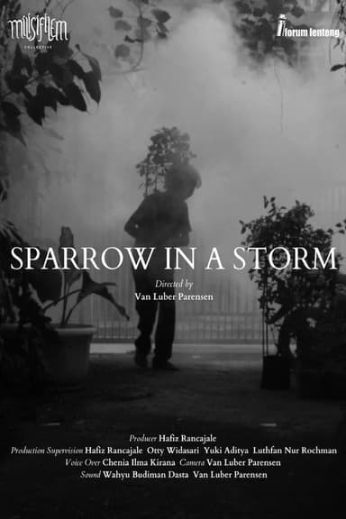 Sparrow in the Storm poster