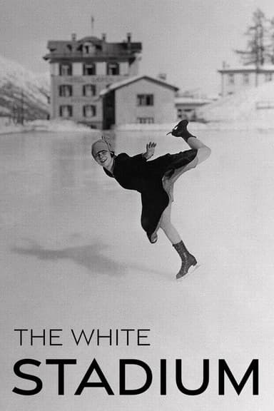 The White Stadium poster