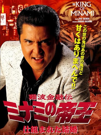 The King of Minami: A Contrived Marriage poster