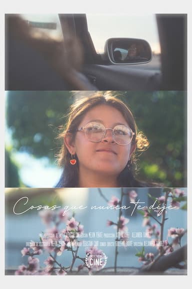 Things I Never Told You poster