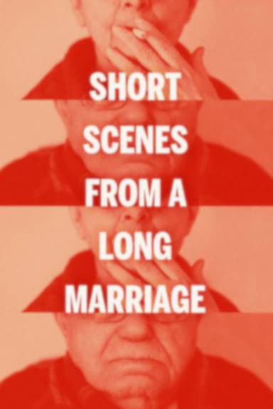 Short Scenes from a Long Marriage poster