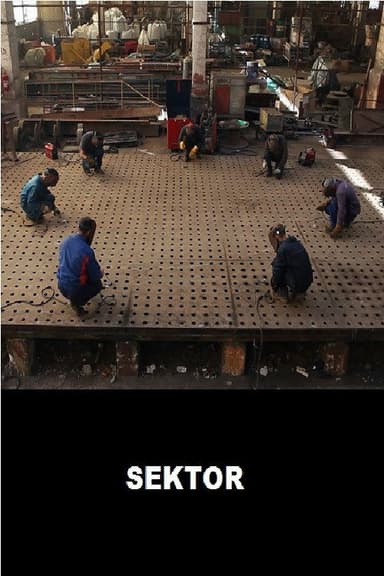 Sector poster