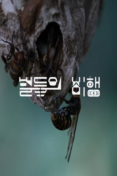Hive poster