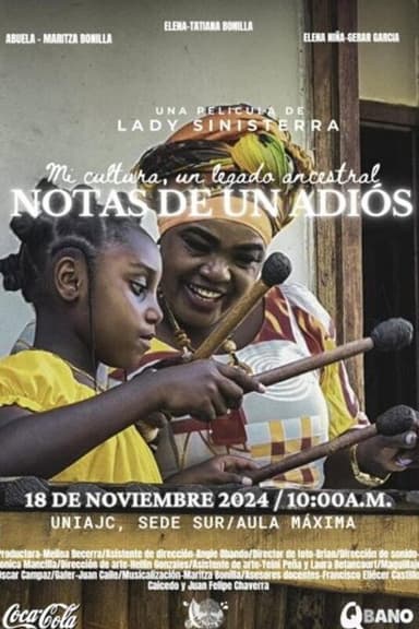 Notas de un adiós poster