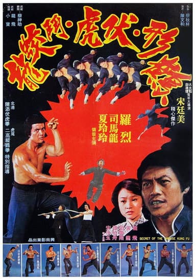 Secret of Chinese Kung Fu poster