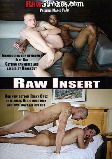 Raw Insert poster