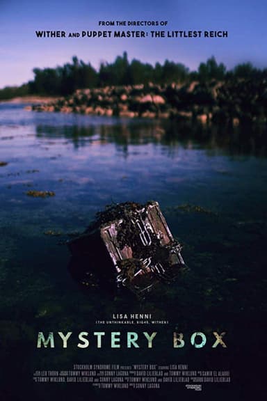 Mystery Box poster