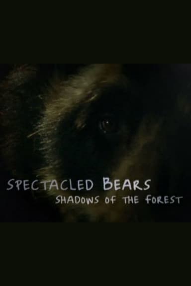 Spectacled Bears: Shadows of the Forest poster