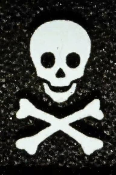 Dingbat's Revenge poster
