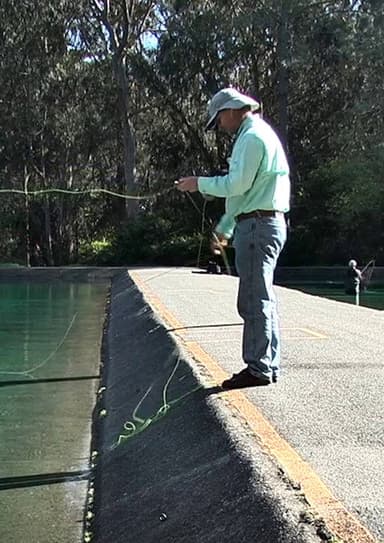 Fly Line poster