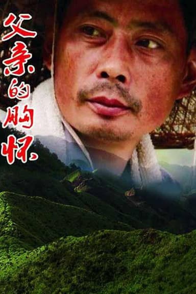 父亲的胸怀 poster