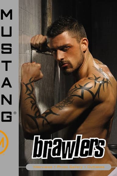Brawlers poster