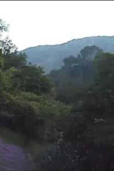 Sunset #1 poster