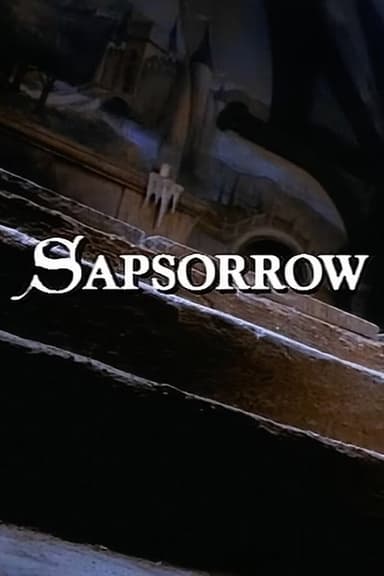 The Storyteller: Sapsorrow poster