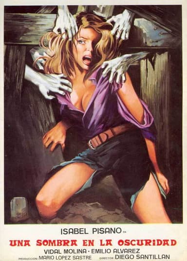 Una sombra en la oscuridad poster