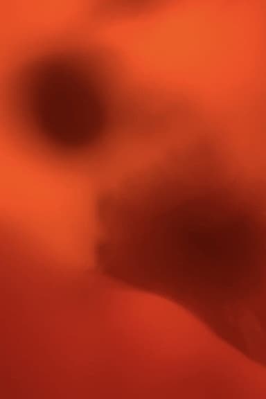 Love is Tinged with Red poster