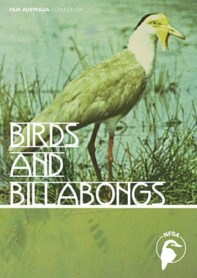 Birds and Billabongs poster