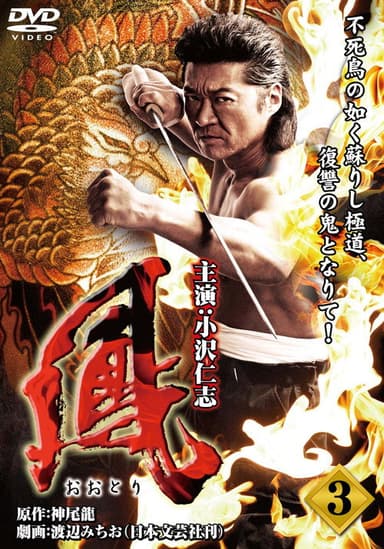Ootori 3 poster
