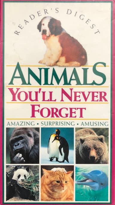 Animals You'll Never Forget poster