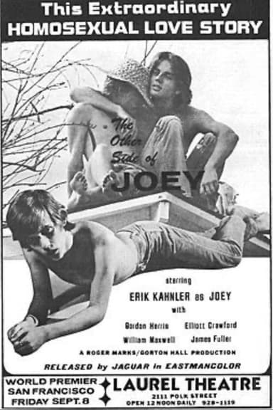 The Other Side of Joey poster