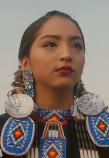 Lakota in America poster