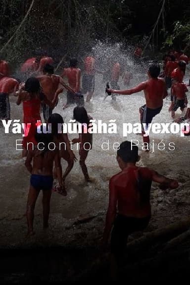 Yãy tu nũnãhã payexop: Encontro de Pajés poster