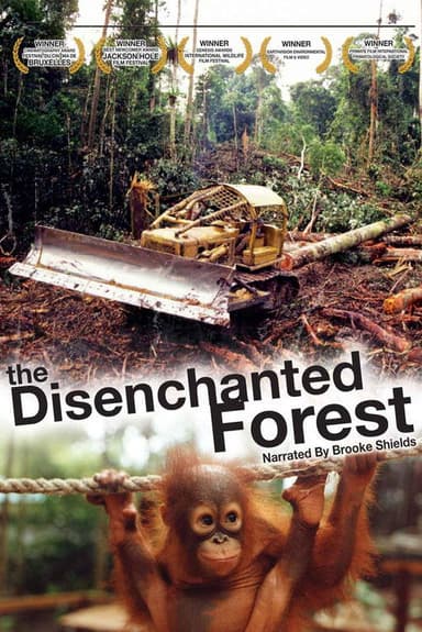 Disenchanted Forest poster