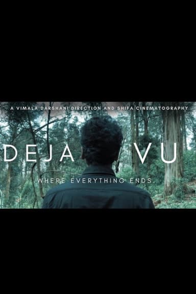 Déjà vu poster