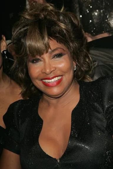 Tina Turner - Simply the Best poster