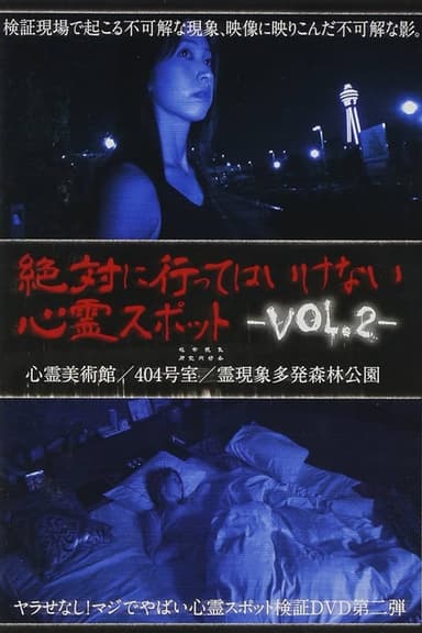 Absolutely Forbidden Haunted Spots Vol.2 poster