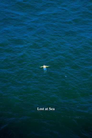 Lost at Sea poster