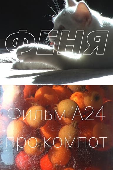 Fenya poster